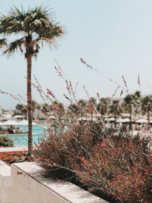 Blick auf den Pool im Avra Imperial Beach Resort & Spa auf Kreta